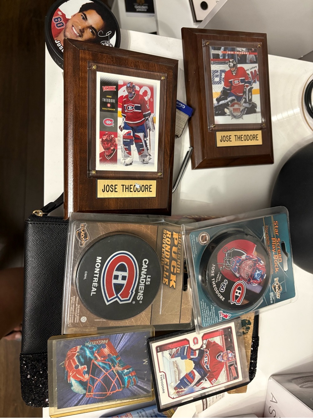 Montreal Canadiens Jose Theodore Framed Hockey Plaque - Brown